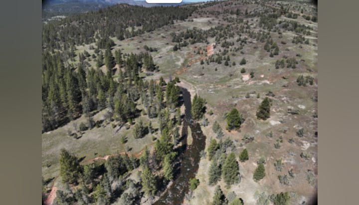 Aerial view of a lush, green landscape featuring trees, a flowing river, and hills in the background. Scenic nature setting.