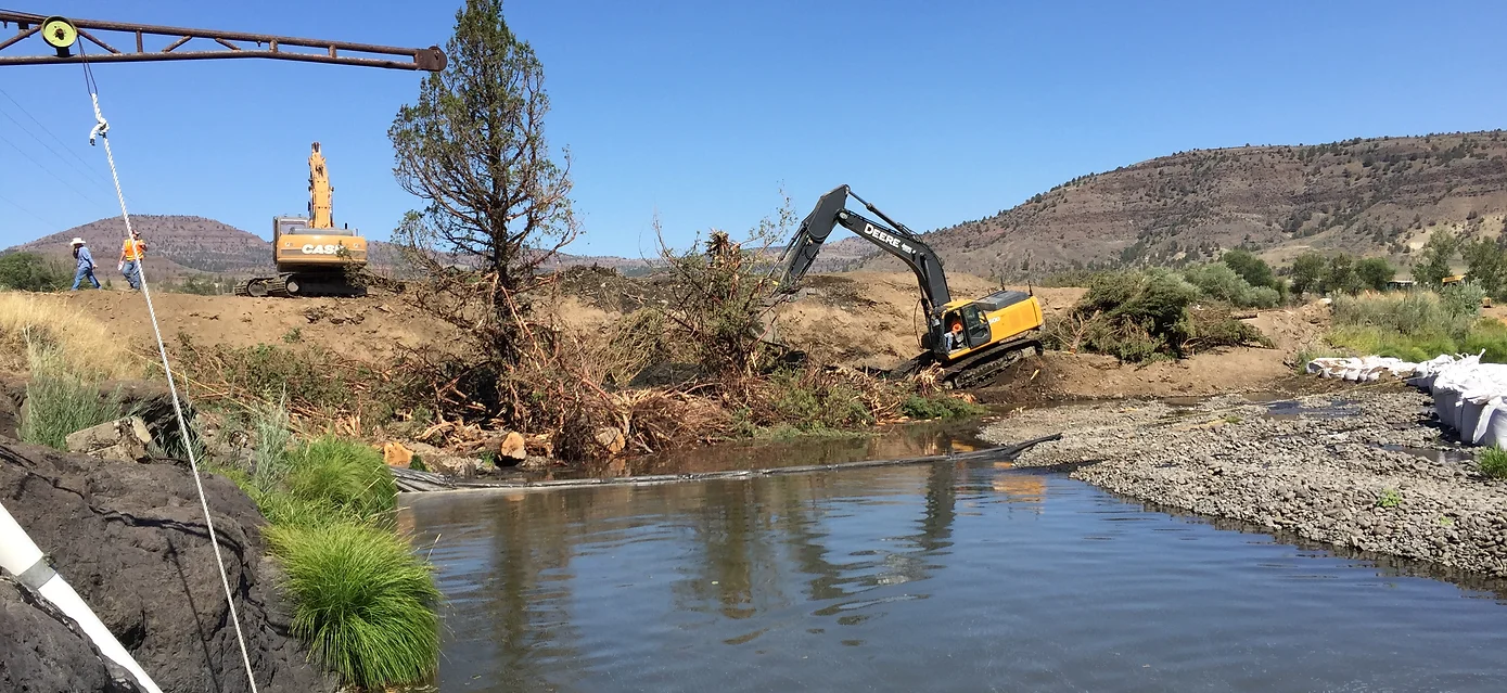 Photo of NFJD River Bank Stability