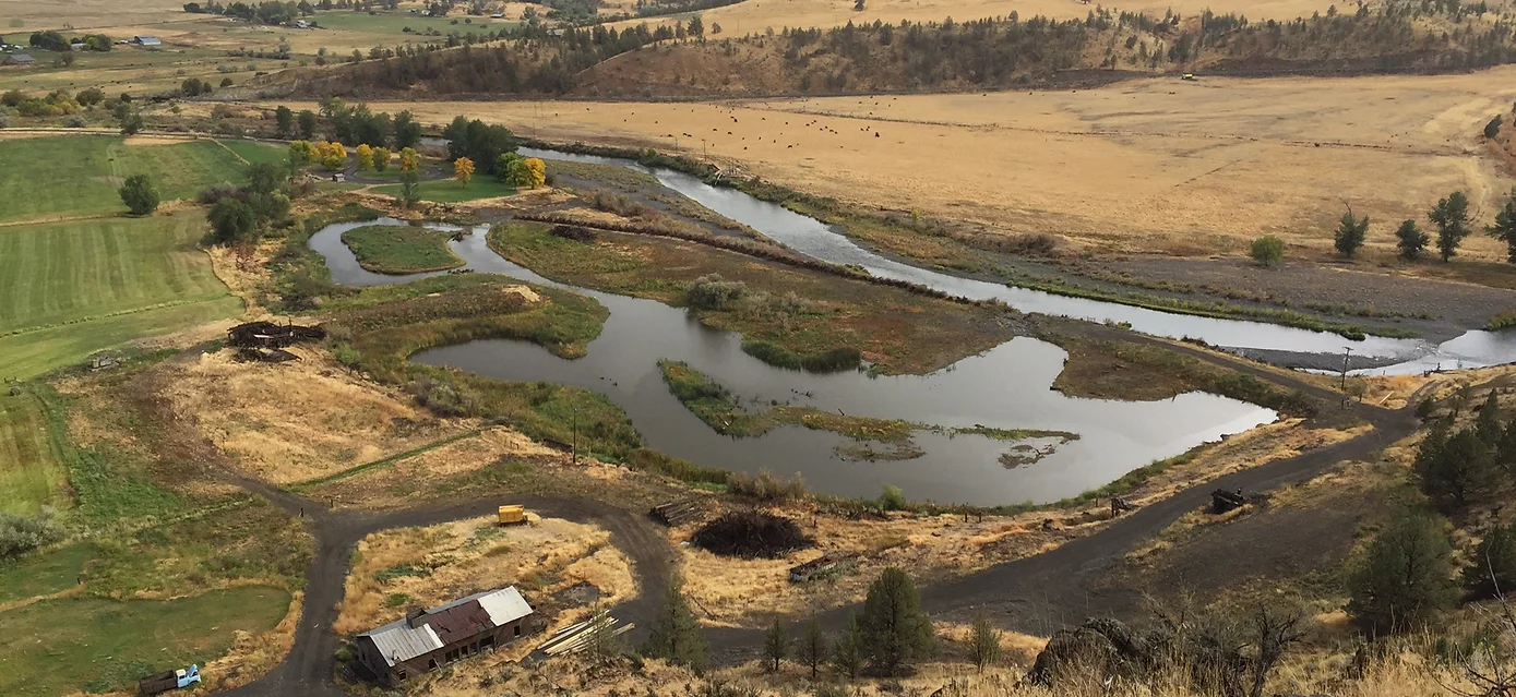 Photo of Cavender Wetland
