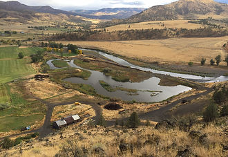 Photo of Cavender Wetland