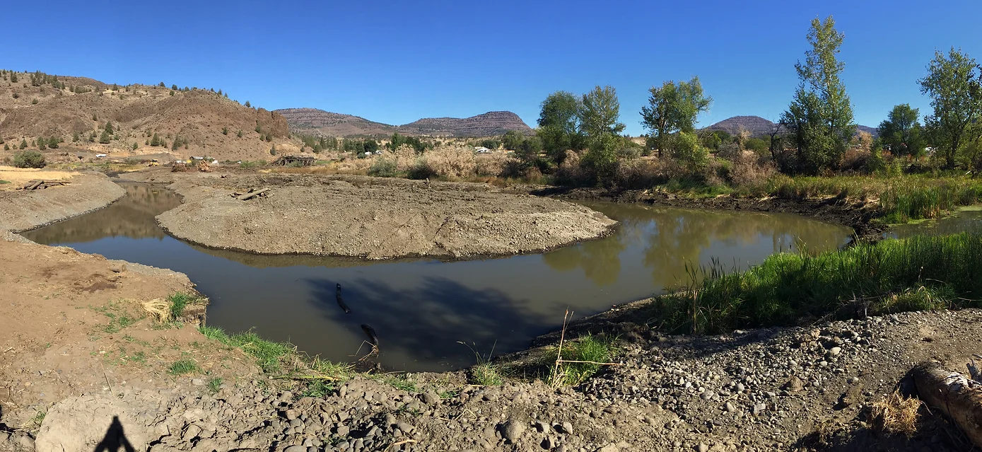 Photo of Cavender Wetland