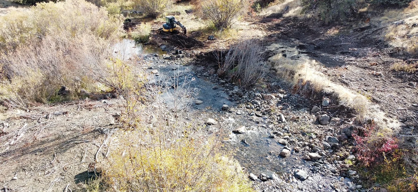 Photo of Riparian Planting: Creek bed