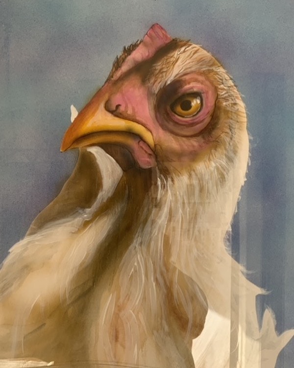 May contain: animal, beak, bird, person, chicken, fowl, hen, and poultry