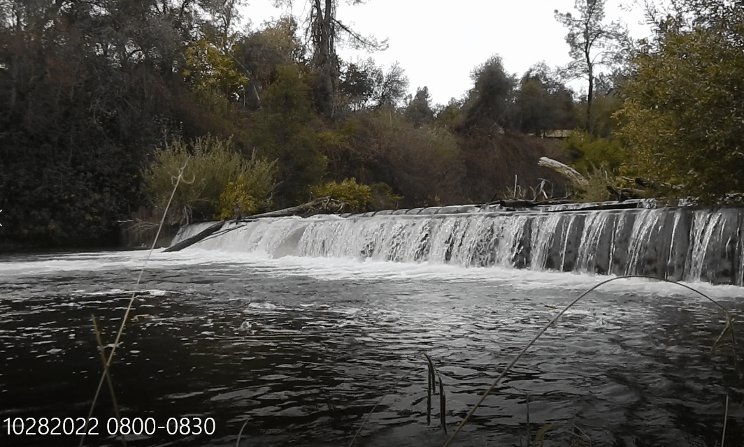 Small waterfall flowing over a low dam structure surrounded by trees, with timestamp text "10282022 0800-0830" in the bottom left corner.
