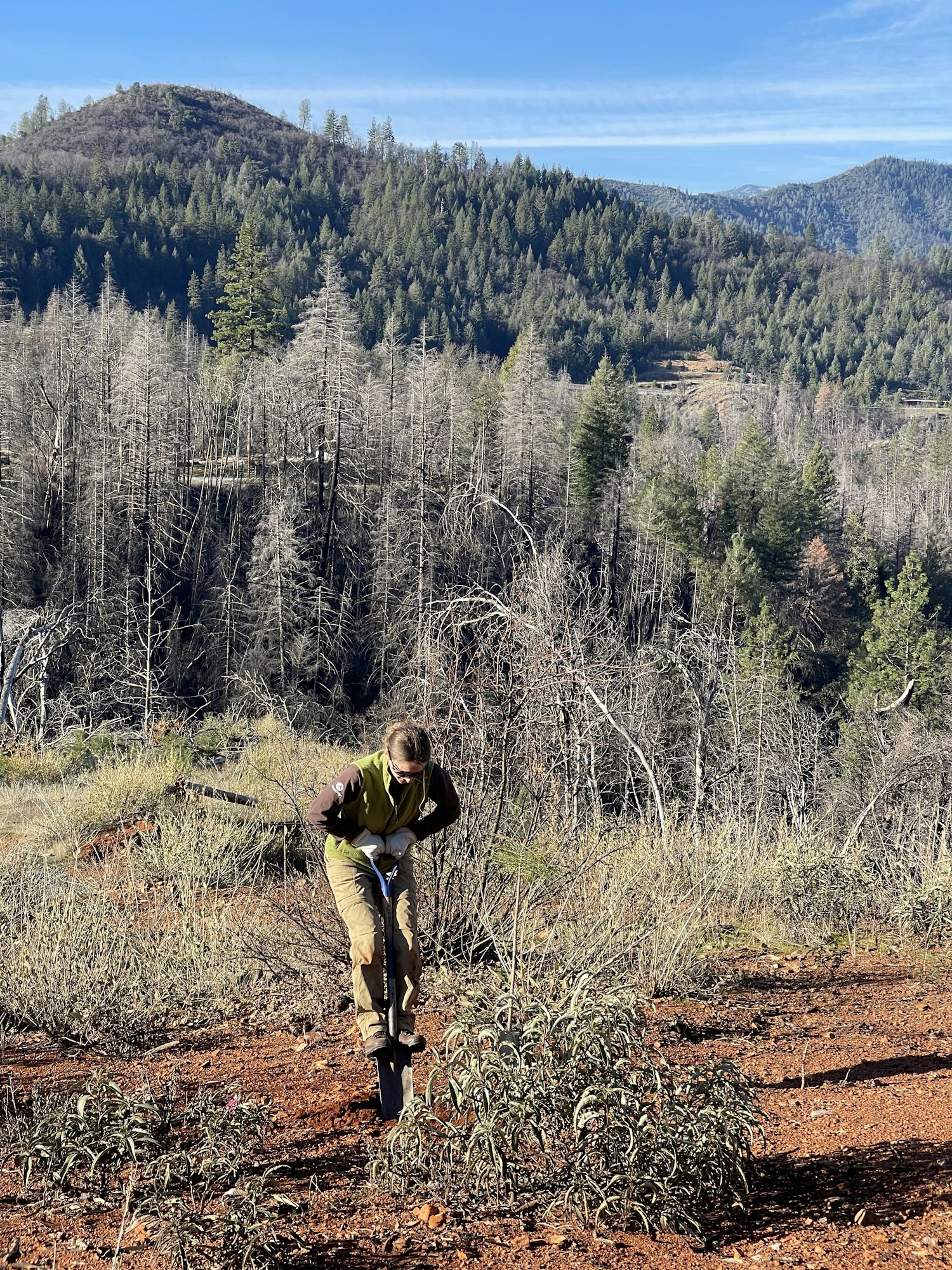 A person digging with a shovel on a slope, surrounded by bare trees and distant green forests under a blue sky.