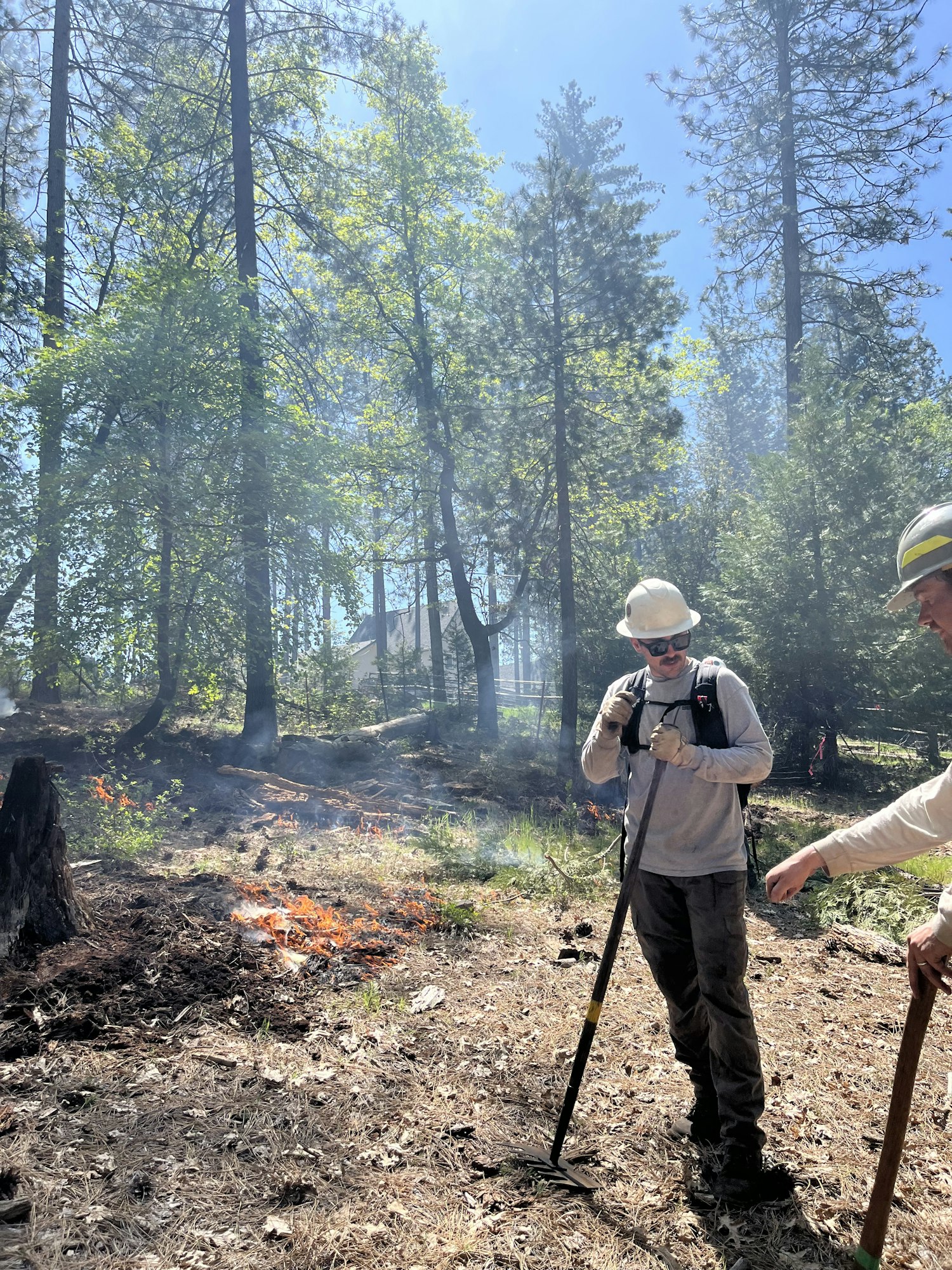 Two people with tools managing a small ground fire in a forested area.
