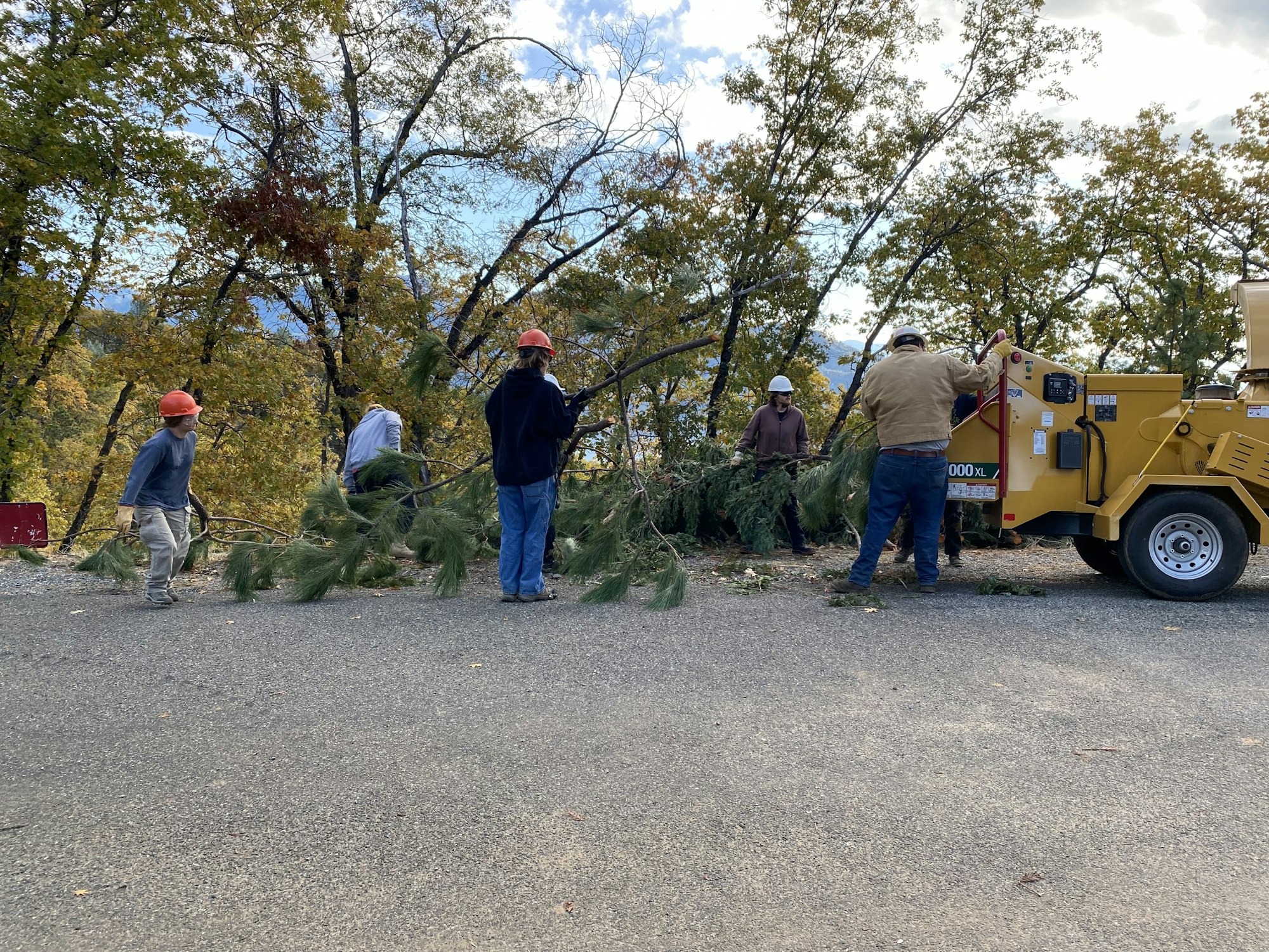 People with helmets using a wood chipper to process tree branches near a forested area.