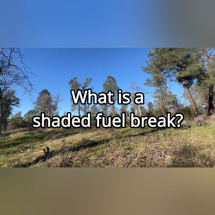 The image showcases a wooded area with a question about shaded fuel breaks, which are strategies for wildfire management.