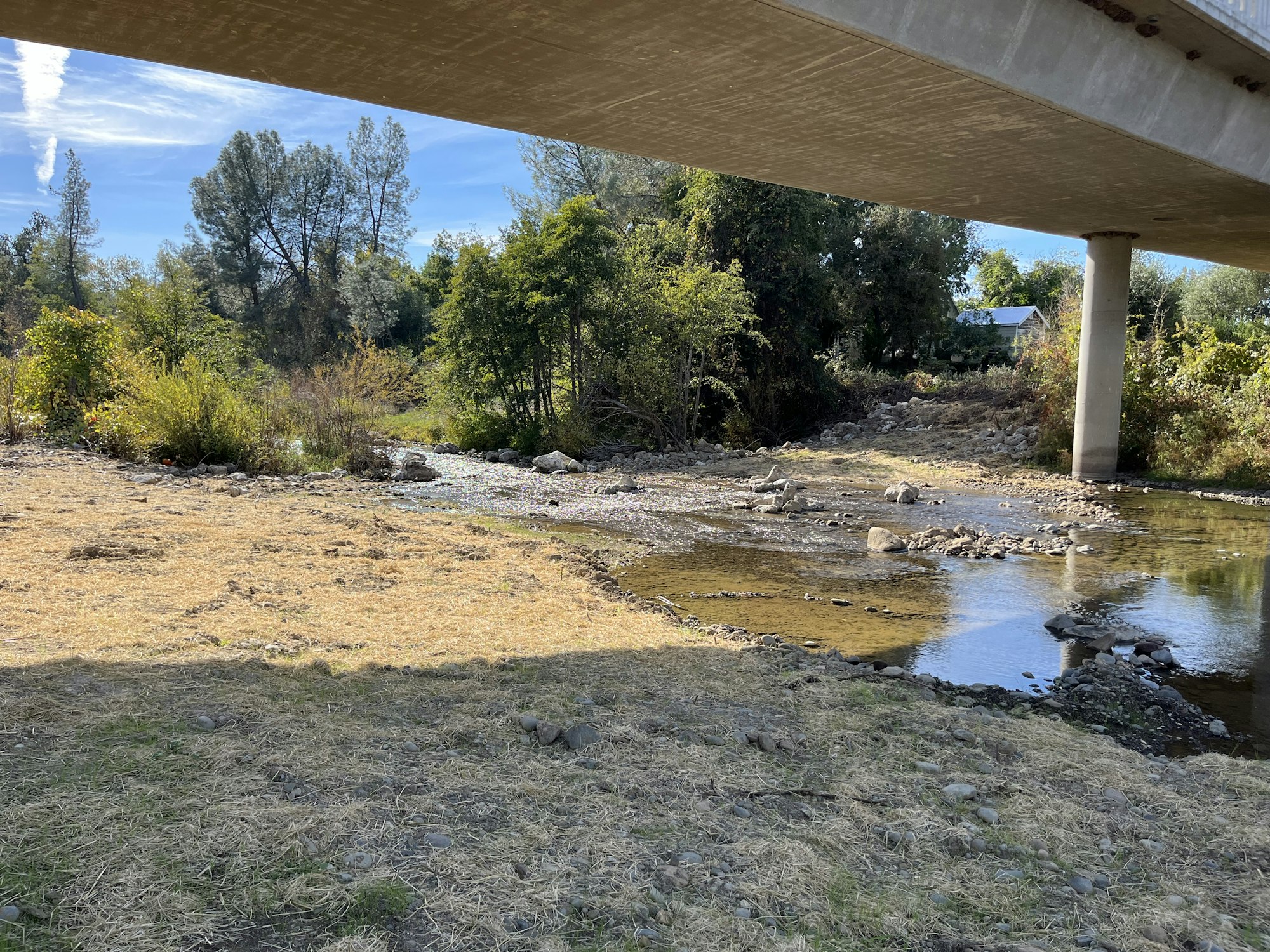 May contain: road, plant, tree, fir, land, nature, outdoors, freeway, and water