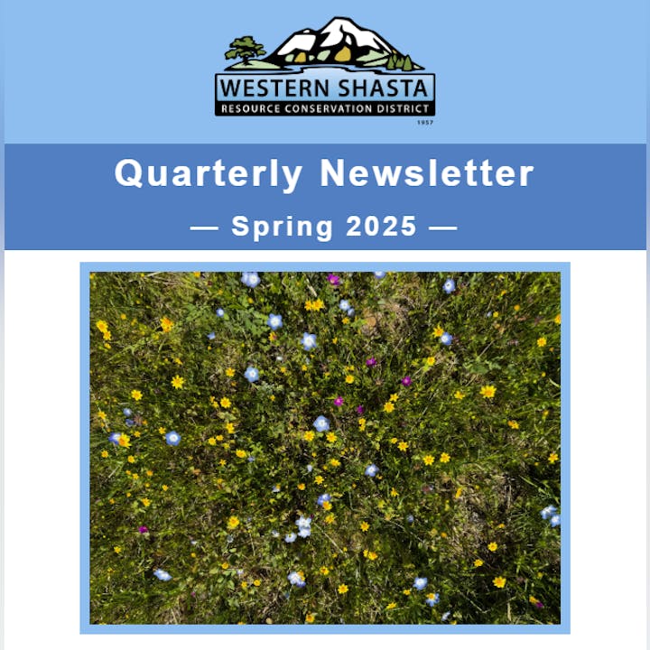 Quarterly newsletter cover for Spring 2025 by Western Shasta Resource Conservation District with a field of wildflowers image.