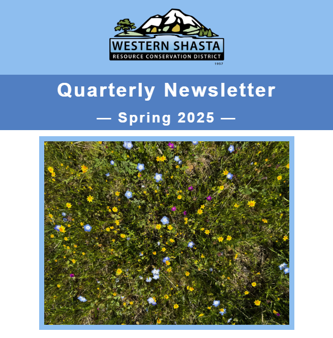 Quarterly newsletter cover for Spring 2025 by Western Shasta Resource Conservation District with a field of wildflowers image.