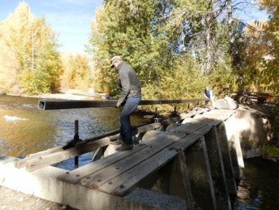 Person standing on a wooden structure by a tree-lined river, with a canoe in the background.