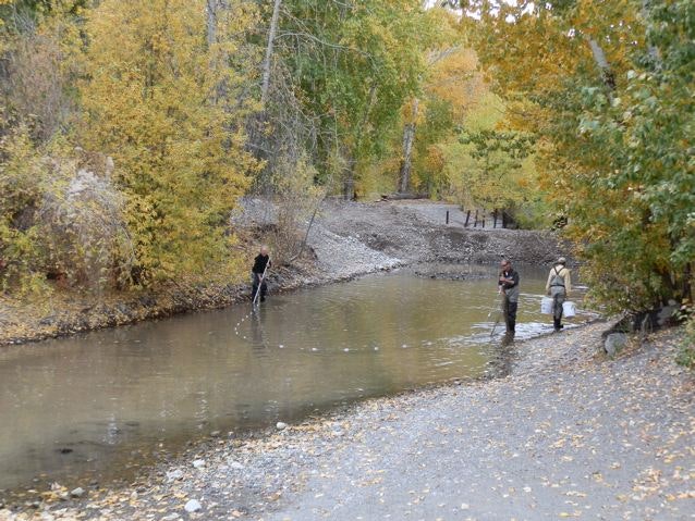 Three people by a river during autumn, surrounded by trees with yellow foliage.