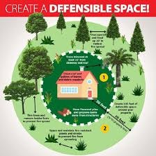 Diagram showing how to create a defensible space around a house for fire safety, with tips on tree and shrub placement.