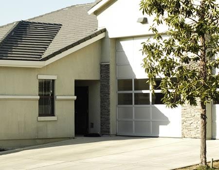 A suburban house with a garage door and a young tree.