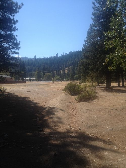 Dirt path through a forest clearing with trees and hills in the background under a clear blue sky.