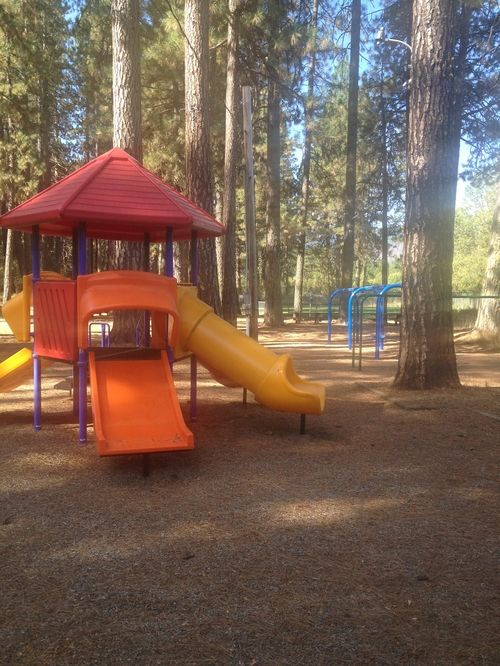 A playground with a colorful slide set and swings surrounded by tall trees.