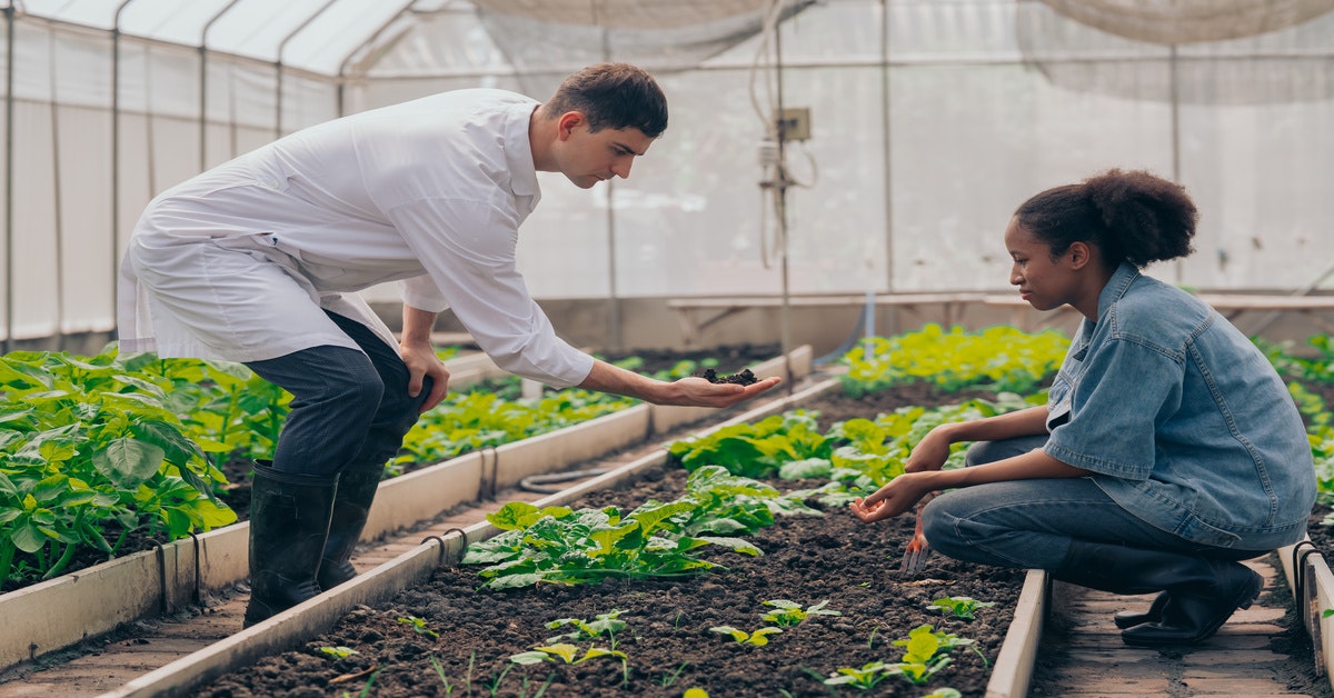 A man in a lab coat and a woman in casual clothing are examining soil and plants in a greenhouse setting.