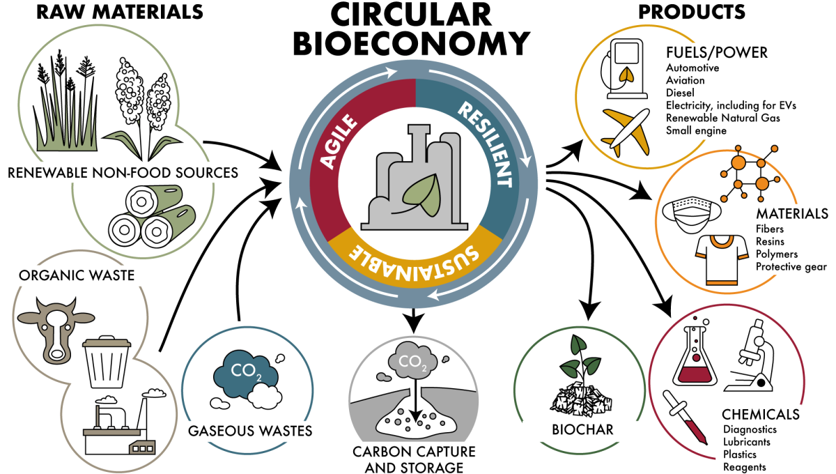 Circular bioeconomy: Converts renewable raw materials, organic and gaseous waste into fuels, materials, chemicals, biochar, with carbon capture.