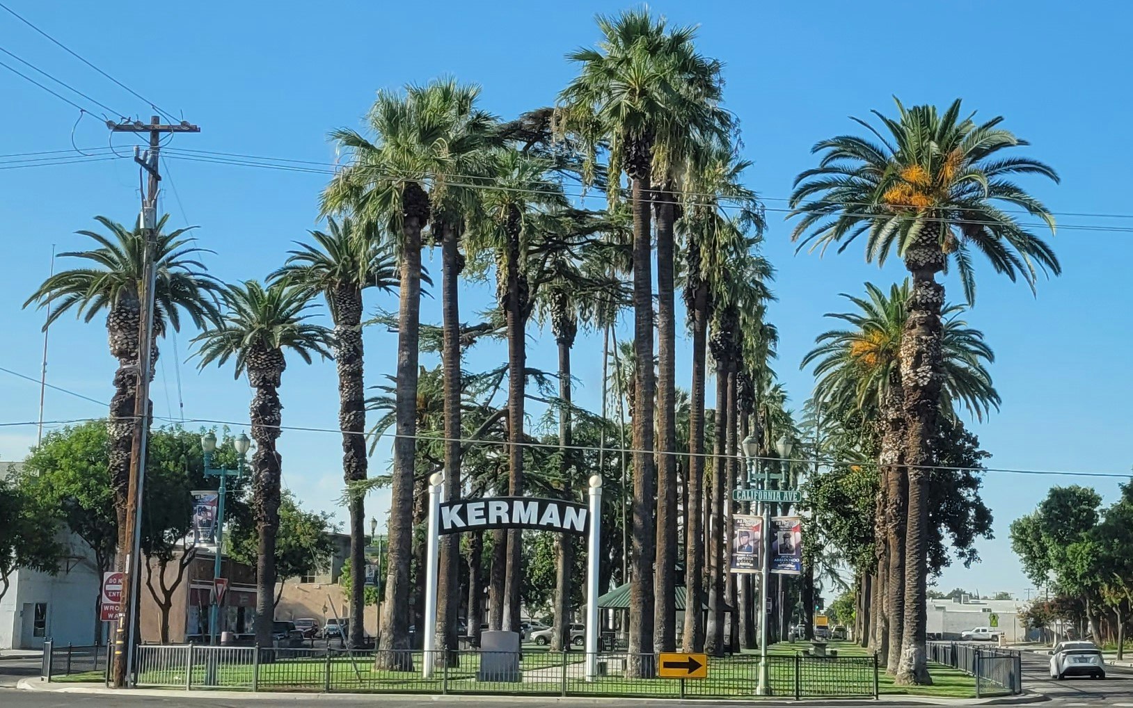 May contain: plant, tree, city, palm tree, utility pole, urban, car, transportation, vehicle, person, grass, nature, outdoors, park, and vegetation