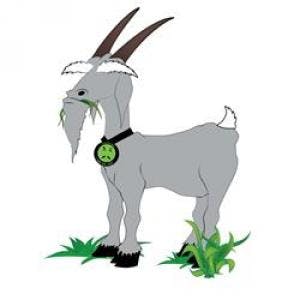 May contain: goat, animal, and mammal