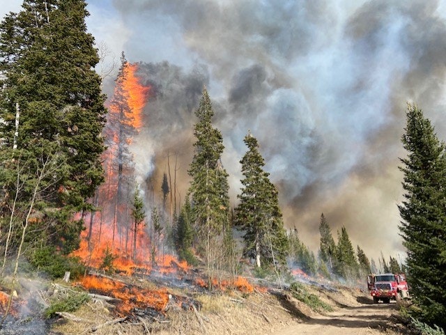 May contain: fire and forest fire