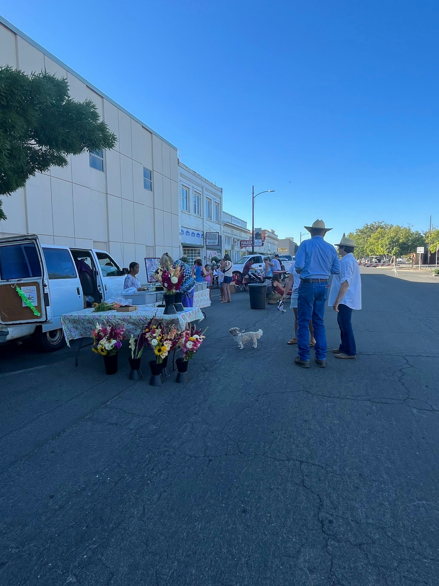 May contain: clothing, footwear, shoe, hat, person, adult, male, man, desk, furniture, table, animal, canine, dog, mammal, pet, accessories, belt, bag, handbag, car, transportation, and vehicle