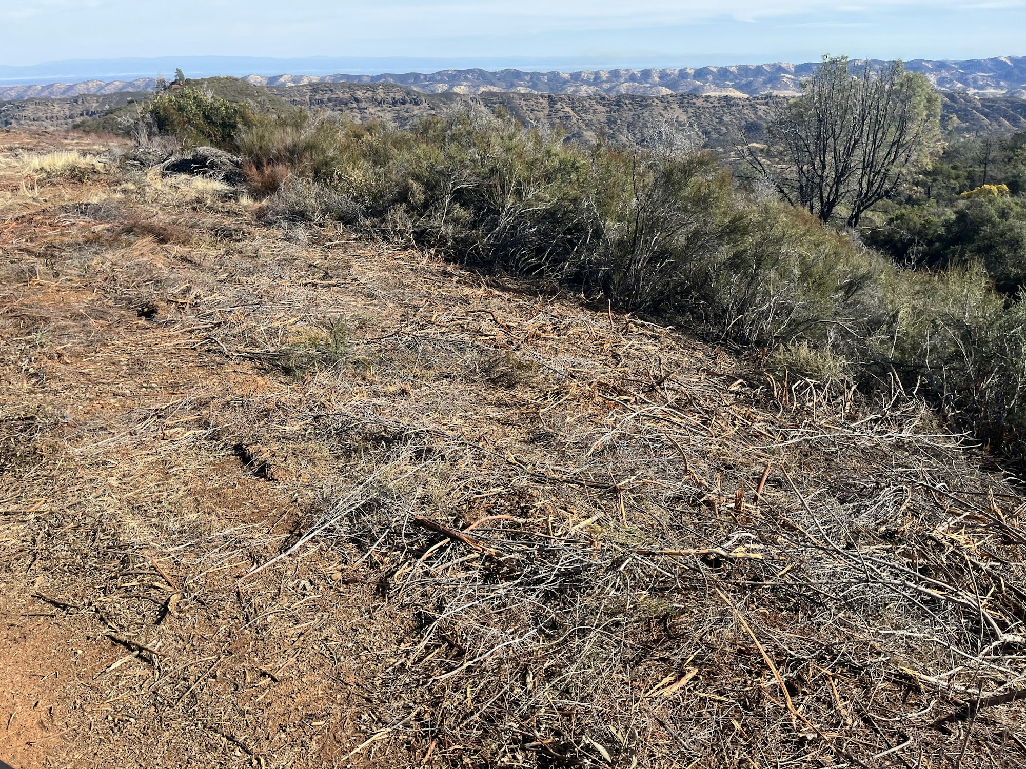 Scenic view of a dry, shrubby area with distant hills under a partly cloudy sky.
