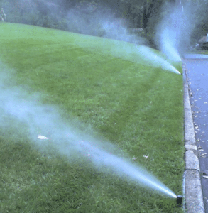 Sprinklers watering a green lawn next to a pathway.