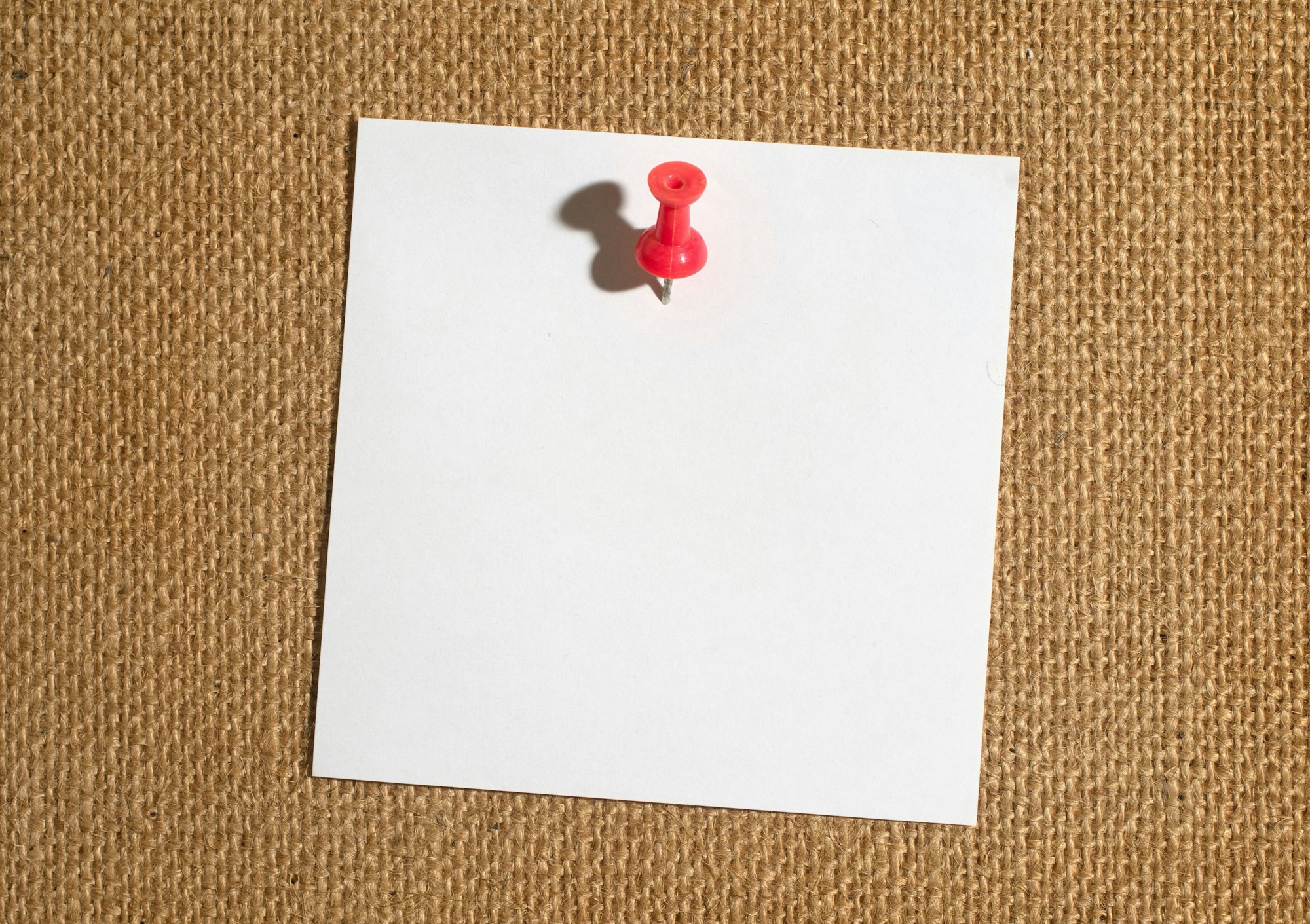 May contain: pin, business card, text, and paper