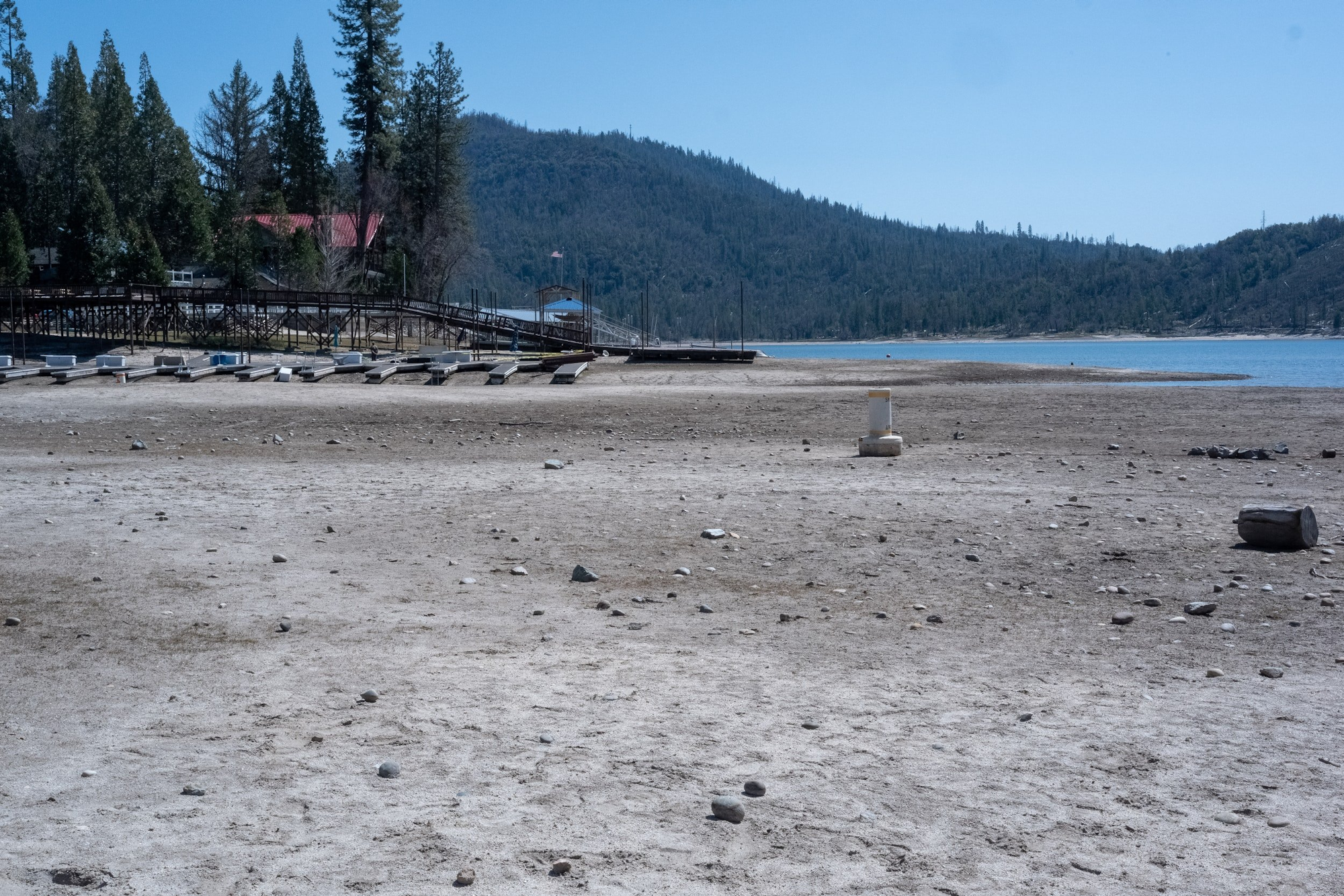 May contain: tree, plant, fir, scenery, outdoors, nature, soil, land, bench, furniture, waterfront, and water