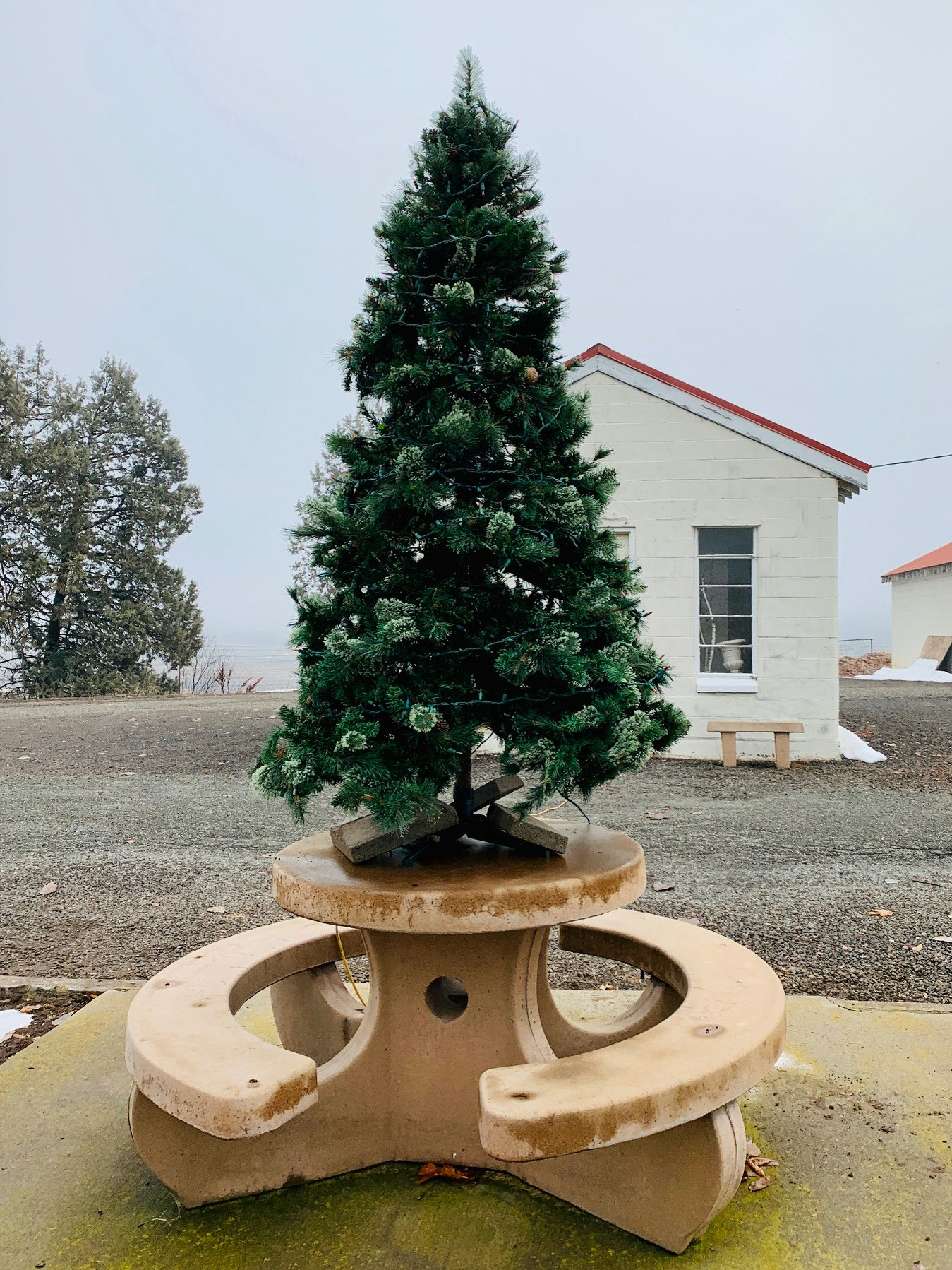 Christmas Tree at Fall River Cemetery