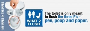 The 3 Ps: Pee, Poop, Paper