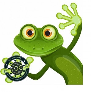 May contain: wildlife, amphibian, frog, and animal