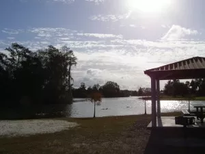 A serene lakeside scene with trees, a pavilion, and ducks on the water under a bright sky.