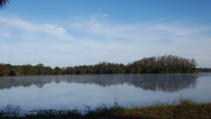 A calm lake reflecting trees under a clear blue sky, with grassy shorelines in the foreground.