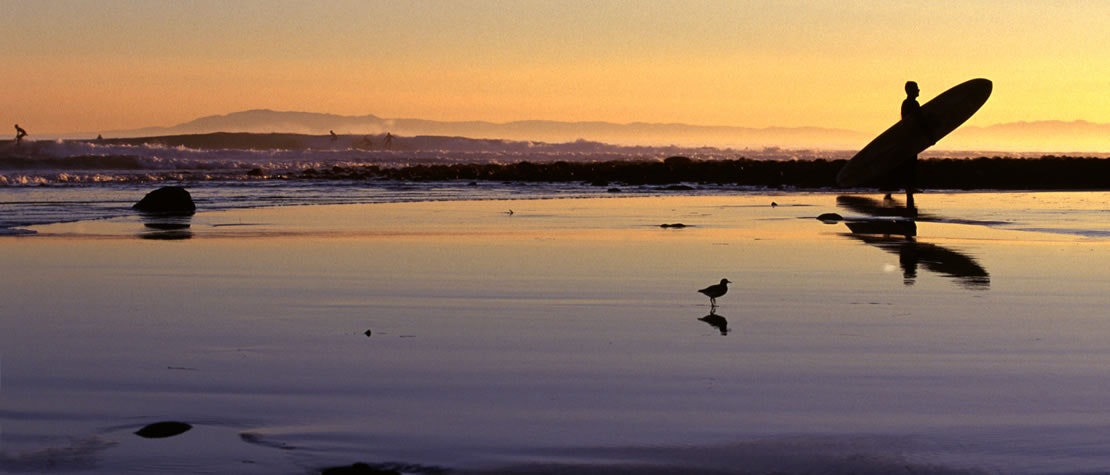 beach, ocean, surfer, birds, sunset