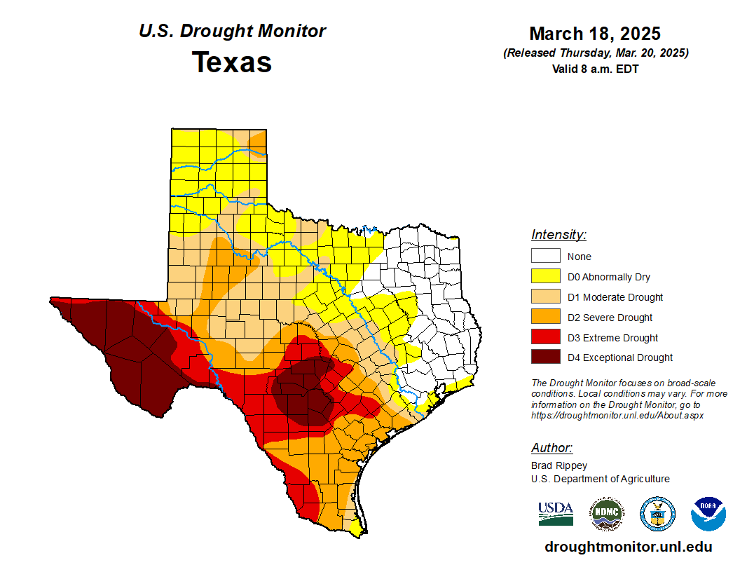 Map of Texas showing drought conditions as of March 18, 2025: varying intensities from abnormally dry to exceptional drought.
