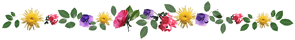 A floral border with various colorful flowers and green leaves.