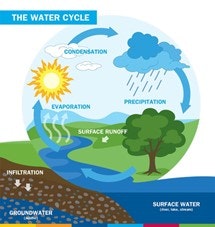 A colorful diagram illustrating the water cycle with evaporation, condensation, precipitation, and runoff.