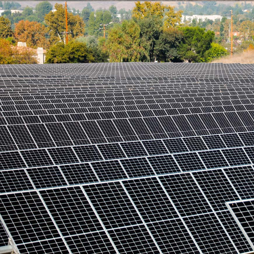 Large array of solar panels under a clear sky, with trees in the background.