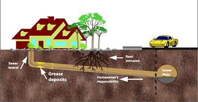 House sewer lateral connects to sewer main, showing homeowner's responsibility, grease deposits, and root intrusion.