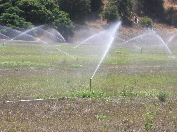 Sprinklers watering a grassy field with trees in the background.