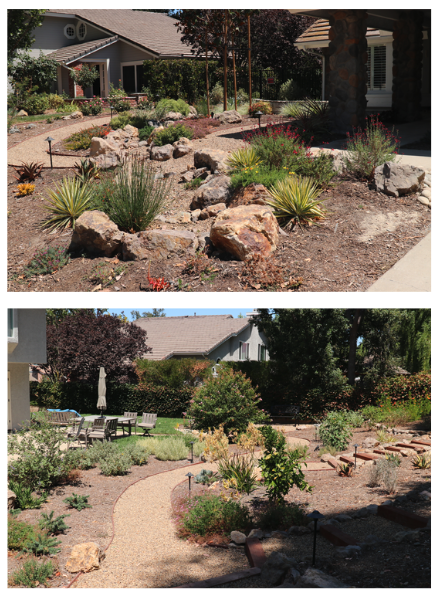Two garden landscapes with dry, rocky terrain and diverse plants, featuring paths and outdoor seating beneath trees.
