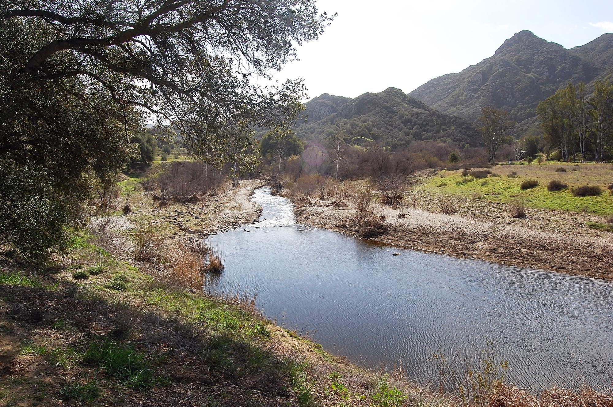 A tranquil river flows through a grassy landscape with mountains in the background under a partly cloudy sky.