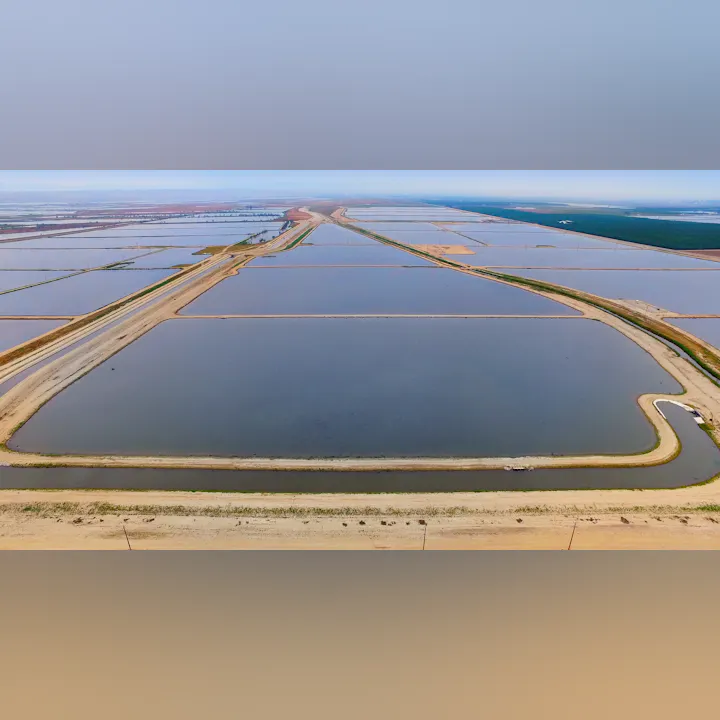 An aerial view of large, rectangular water bodies separated by dirt paths, likely part of an agricultural or aquaculture area.