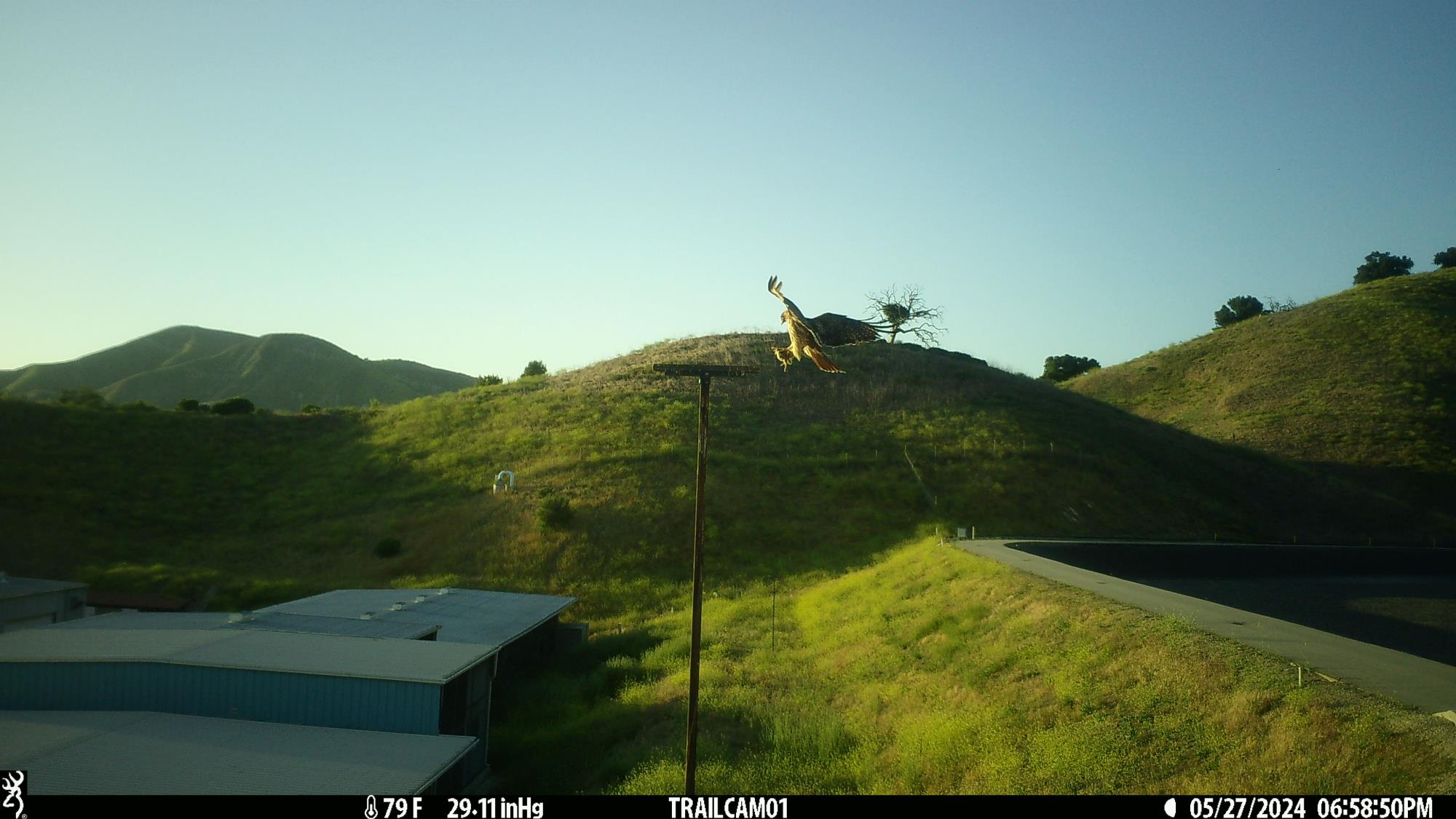 A bird flying over a pole against a hilly landscape under clear skies. Timestamp: 05/27/2024, 6:58:50 PM.