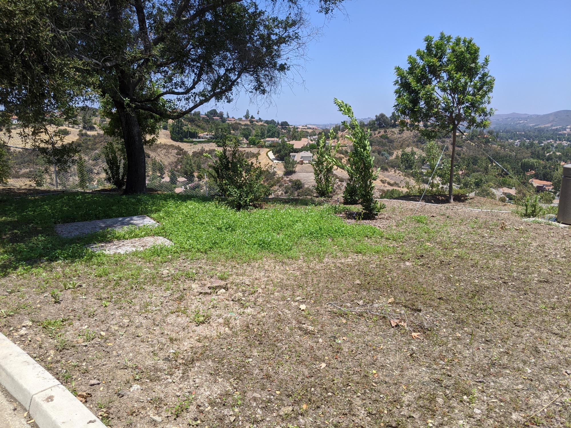 A grassy hillside with trees, a paved edge, and a distant view of houses and hills under a clear blue sky.