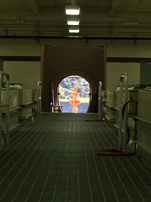 A hallway leading to a circular window framing an orange structure and landscape view outside.
