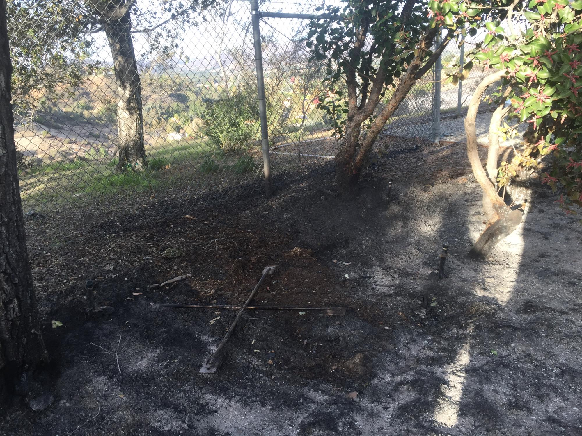 Charred ground and trees along a fence, possibly after a fire.
